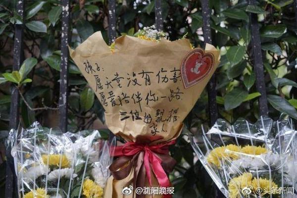不雅视频电脑免费版